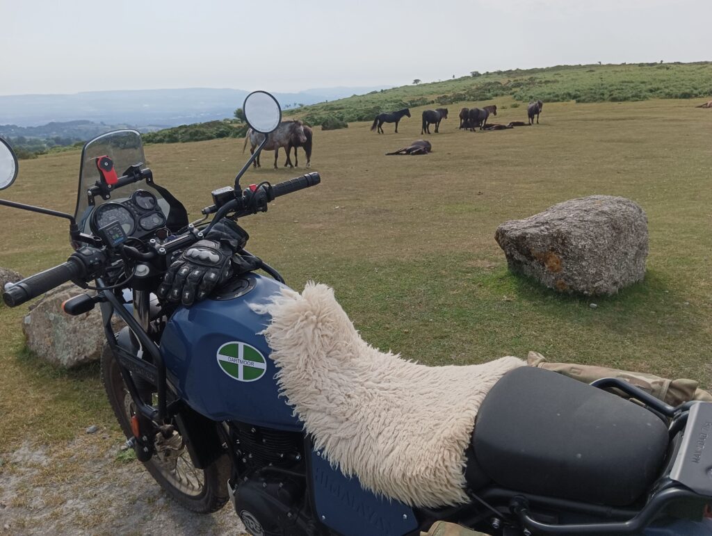 The stock Himalayan screen